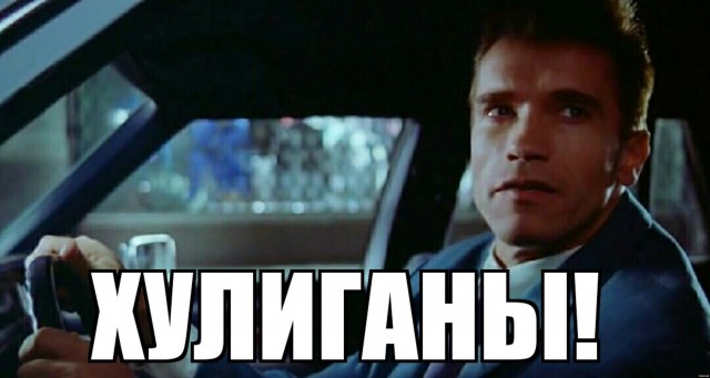 Ответ Шварцнеггера