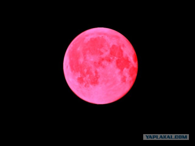 Томатный сок вместо спутника, или Куда пропал Netflix?