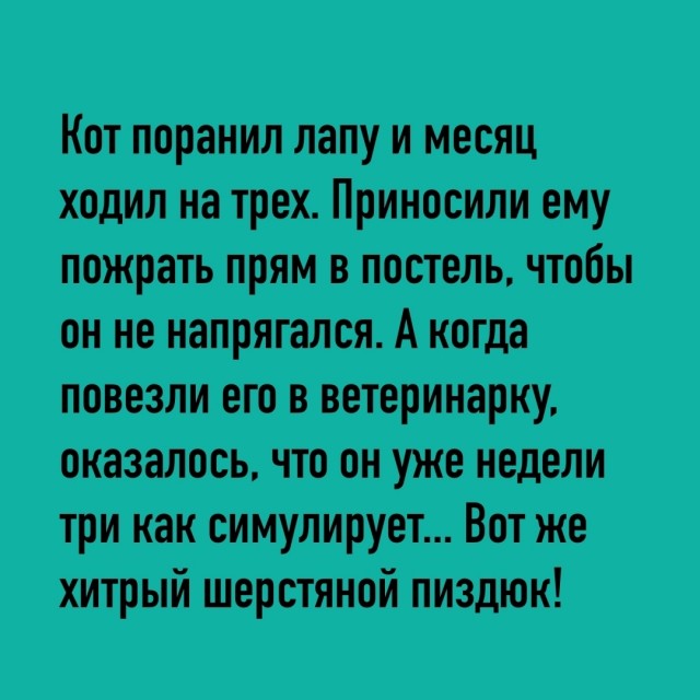 Так себе картинки 14.11.25