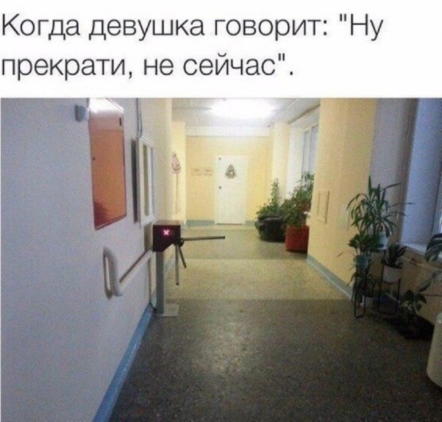 Так себе картинки 21.12.25