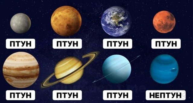 В русском языке имеются слова, которые нельзя использовать без частицы «не».