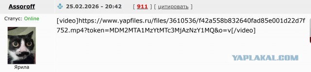 Я рыжий!