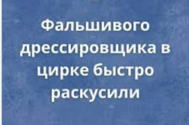 Картиночки, баянчики 11 мая