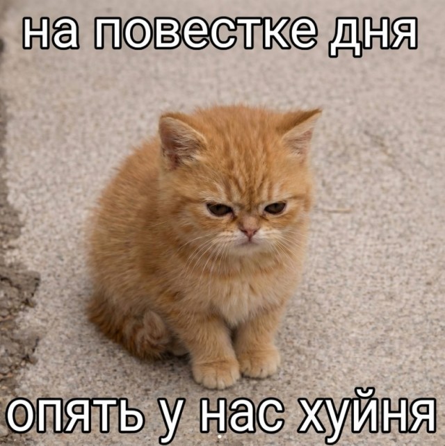 Так себе картинки 15.06.26