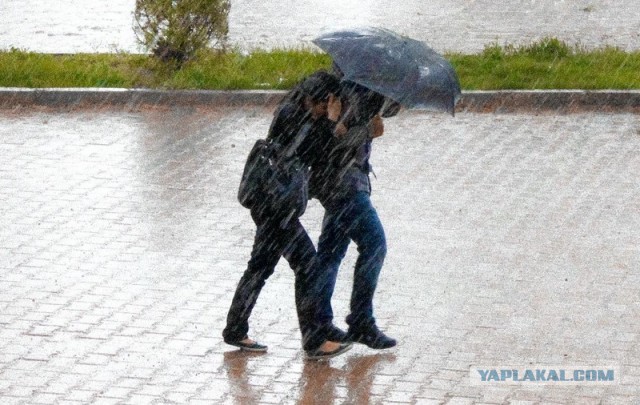 Пляжи Калининградской области переполнены из-за аномальной жары до +36°C, пришедшей из Европы