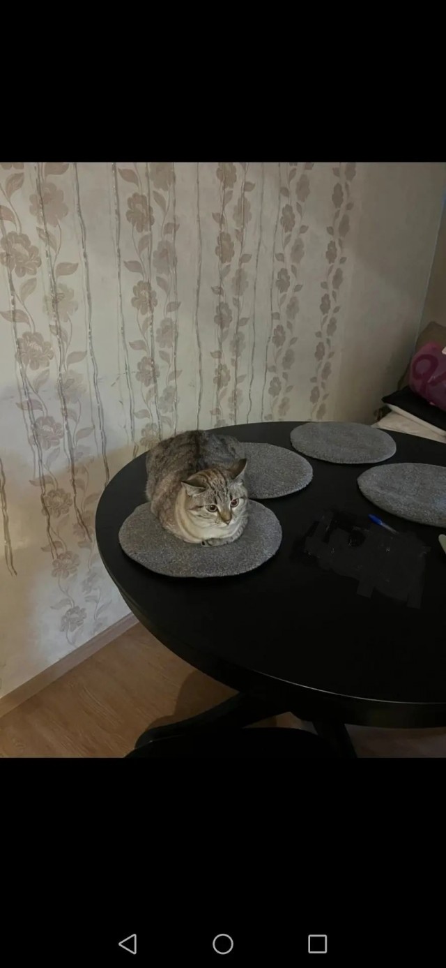 Не пробди момент