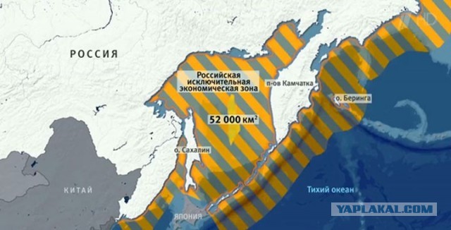 Фантомные боли Японии не утихают.
