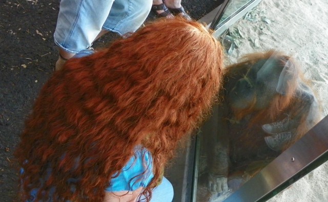 Отражение сущности