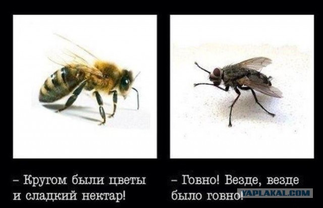 Все знают стереотип о том, что Канадцы очень добры