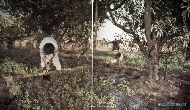 Джамахирия в фотографиях начала 80-х годов