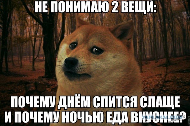 Веселые картинки
