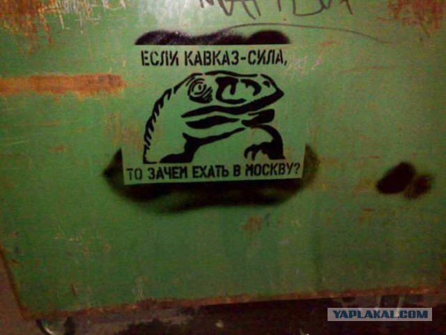 Весёлое из сети
