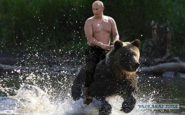 Почему у многих иностранцев Россия