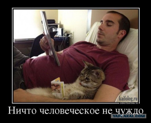 Котовторнику посвящается.