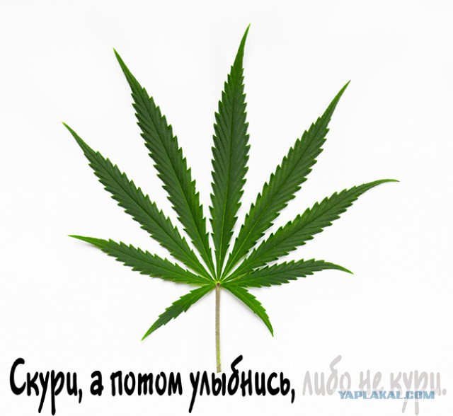 Съешь, а потом беги