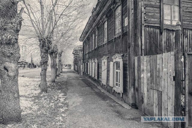 Искусство инфракрасной фотографии