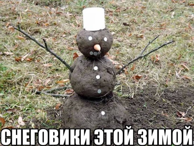 Природа сошла с ума: распустились листья на сирени