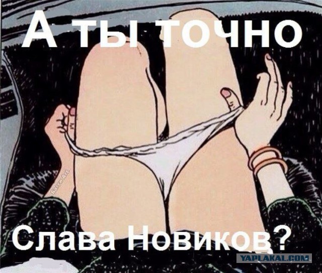 Краткое содержание Славы Новикова в картинках