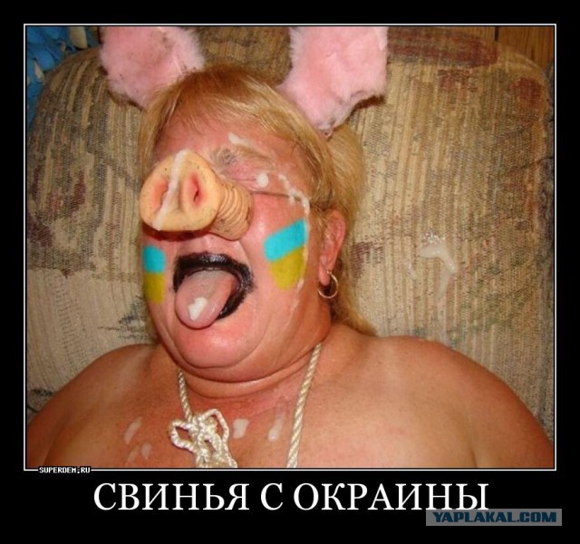 Вот люди живут