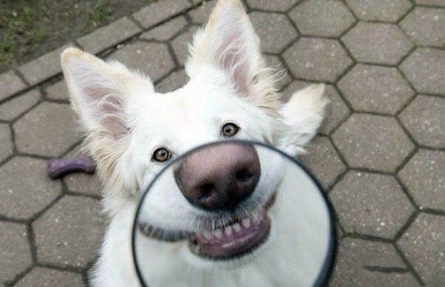 Подборка интересных и веселых фото