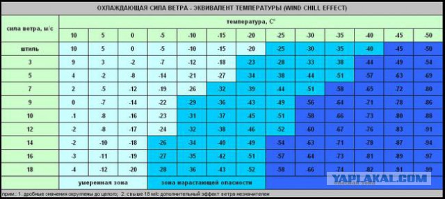 Смазка турбины на SUBARU
