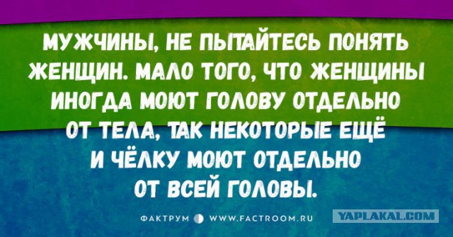 Высказывания из Интернета