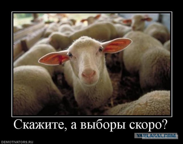 ВЦИОМ.Рейтинг доверия Путину-85% Медведеву 60% ЕдРо 50%