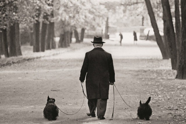 ФотоОвсянка