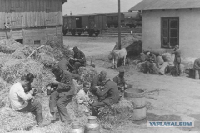 Фотографии к "Нахальному минированию" и "Лехе"