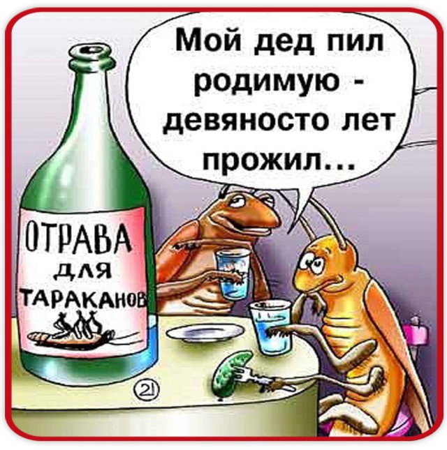 Спробуй заячий помет! Он ядрёный.... он проймёт