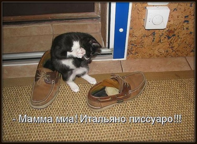 Просто юмор 17 (тяпничный)