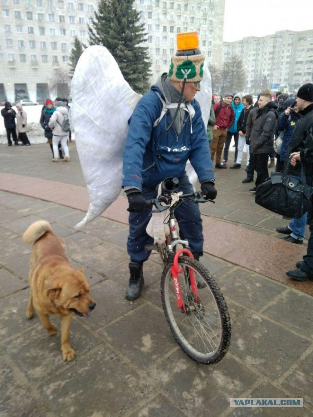 Кого только не встретишь по дороге домой