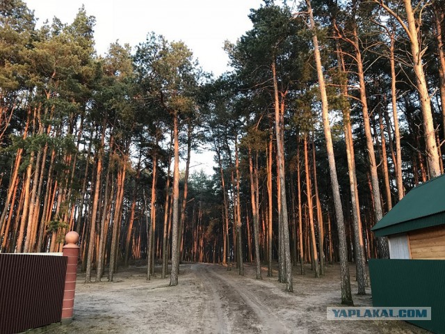Как я опять съездил на Западную Украину (НГ 2018)