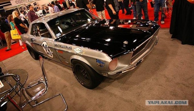 Sema Show 2008 (30 фото)