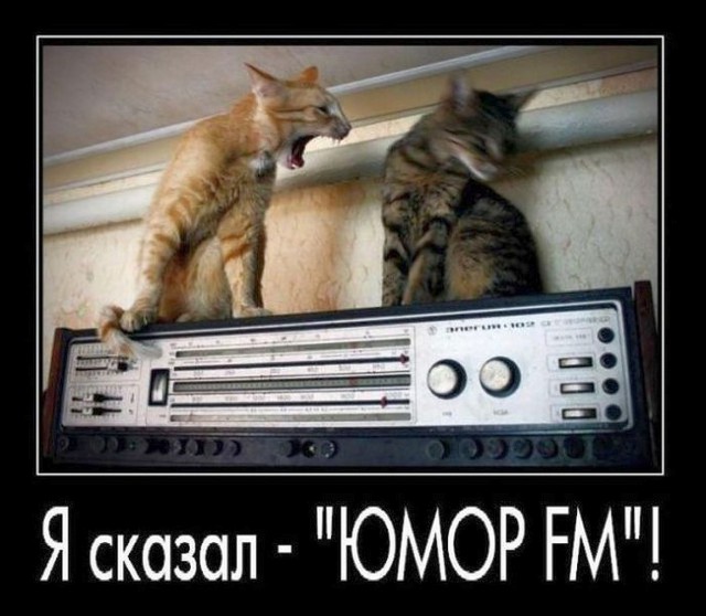 Одну страну мы уже прохихикали