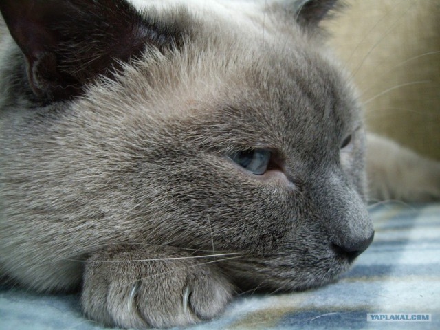 КОТовторник 13.04.2010г.