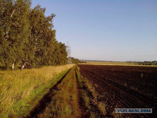 Красота сельских дорог
