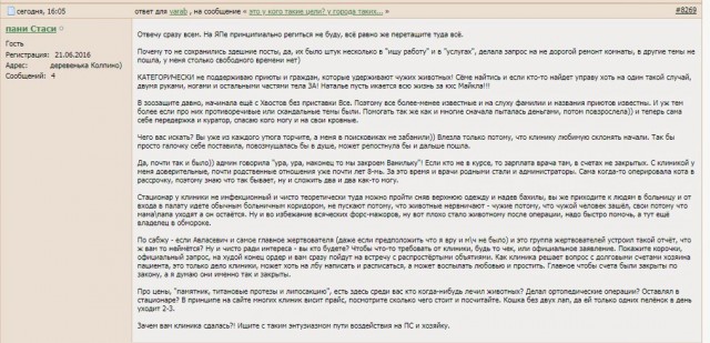 Помогите вернуть кота! Приют "Преданное сердце" украл кота и не отдает!-2