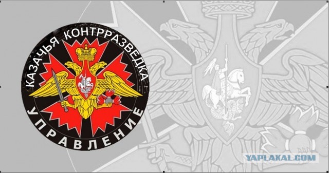 Фабрика живодерства в муниципальном приюте Рязани