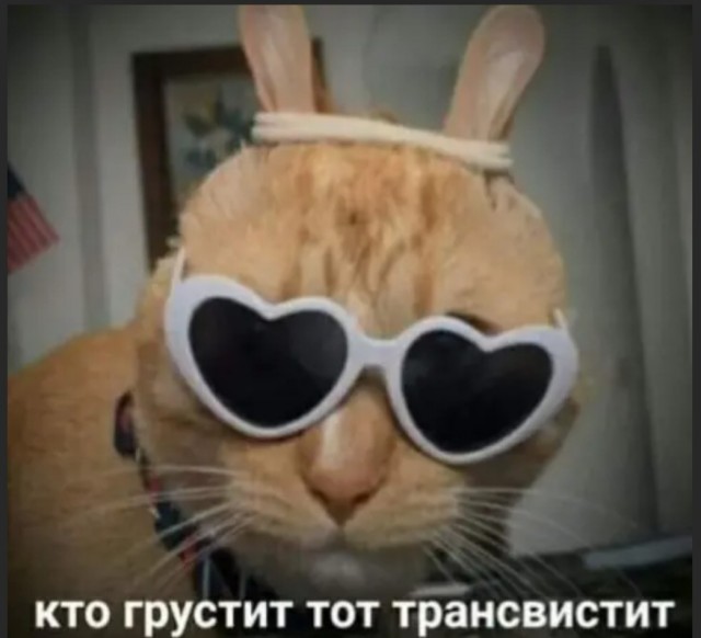 Бредзона 06.04.2020
