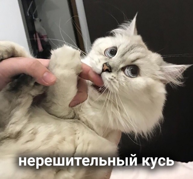Давайте поможем девушке