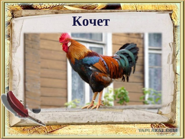 Помогите! Делю мужа с соседкой: что делать?