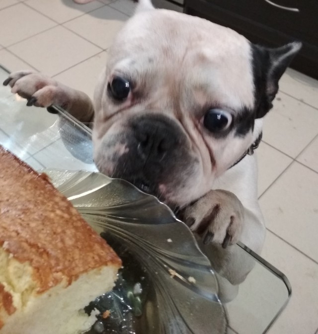 "- Кто здесь?"