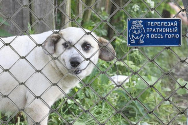 Фотожаба: Я Табличка