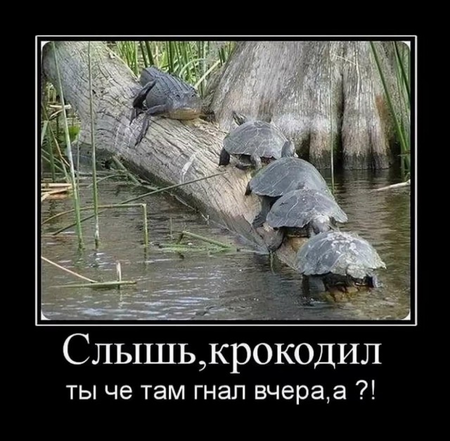 Пятничное-ночное, субботнее-утреннее