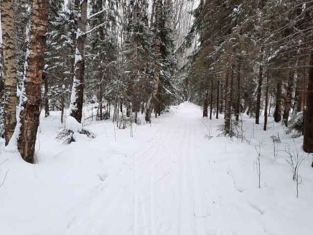 Похмельное утро