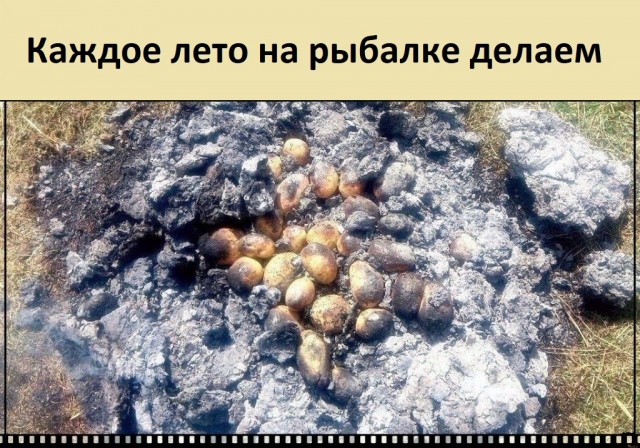 Всё работаешь? А вспомни, как ты был молод и свободен!