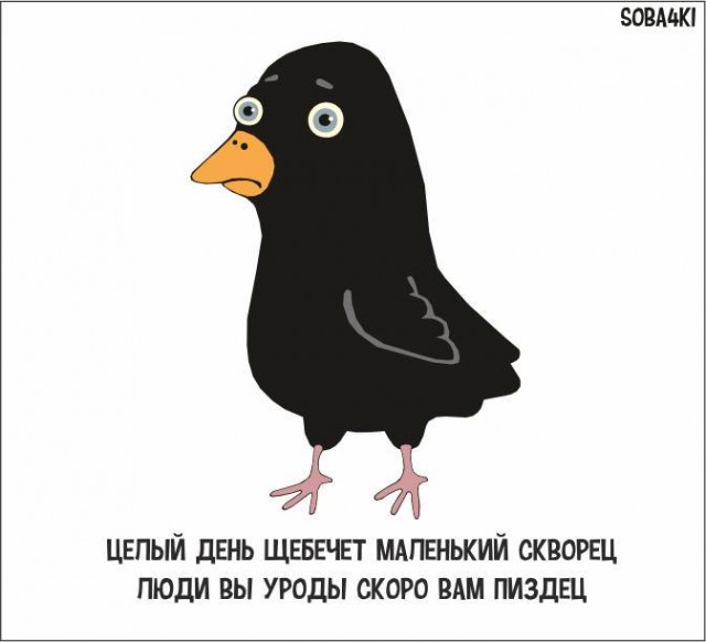 Знакомства разные нужны или как легко и просто познакомиться в сети 22.04.21