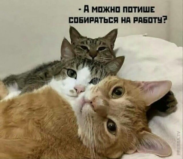 Картинки про работу