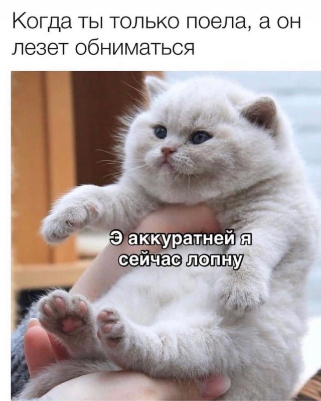 Так себе картинки 12.08.21